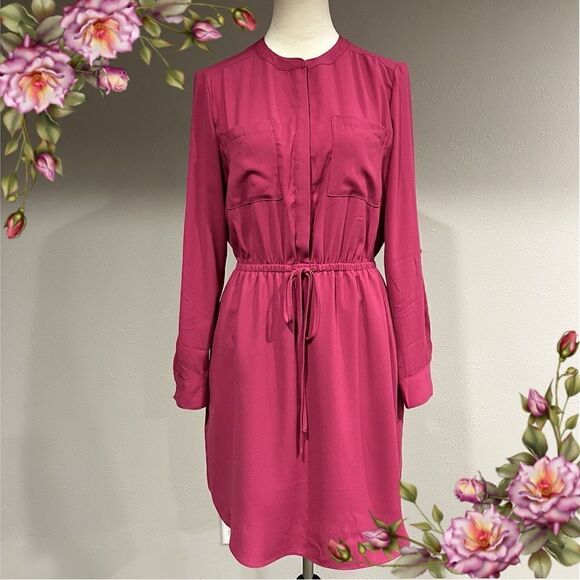 Apt. 9 Dresses & Skirts - Apt 9 long sleeve dress size 8